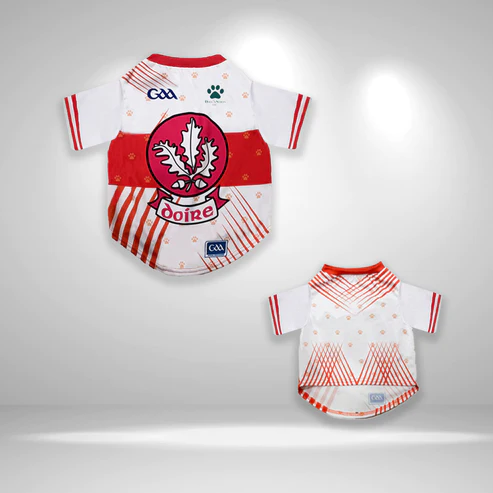 Kerry GAA Pet Jersey – Dougs World