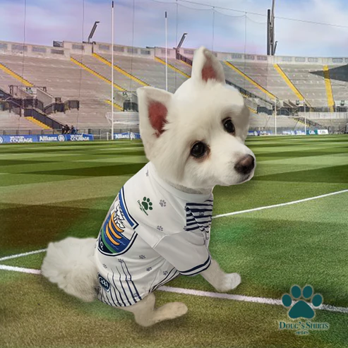 GAA Official Pet Jersey – Dougs World