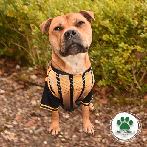 Limerick GAA Pet Jersey – Dougs World