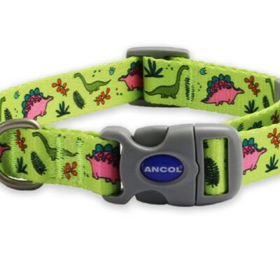 a green dog collar with a grey buckle
