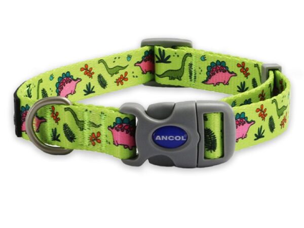 a green dog collar with a grey buckle
