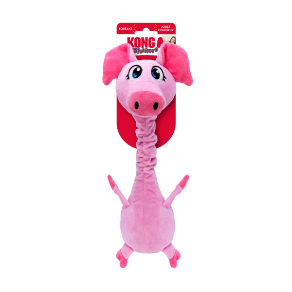 dog toy kong pig