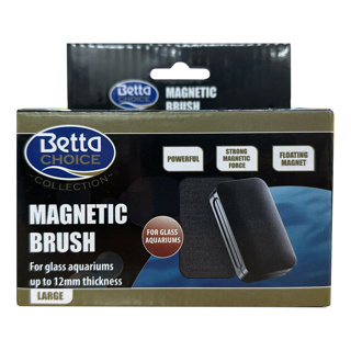 magnetic glass cleaner