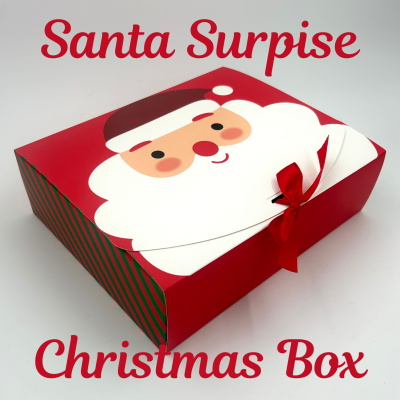 Santa Surprise Christmas Dog Treat Box