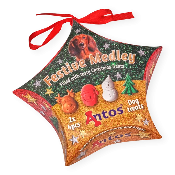 Antos Christmas Medley Hanging Star