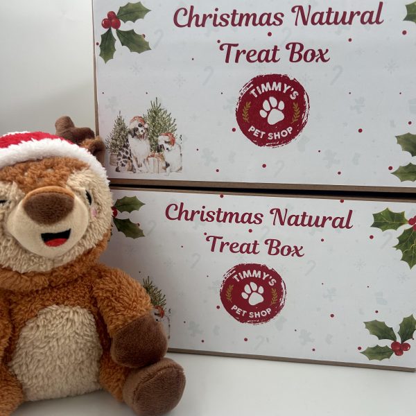 Christmas Natural Treat Boxes